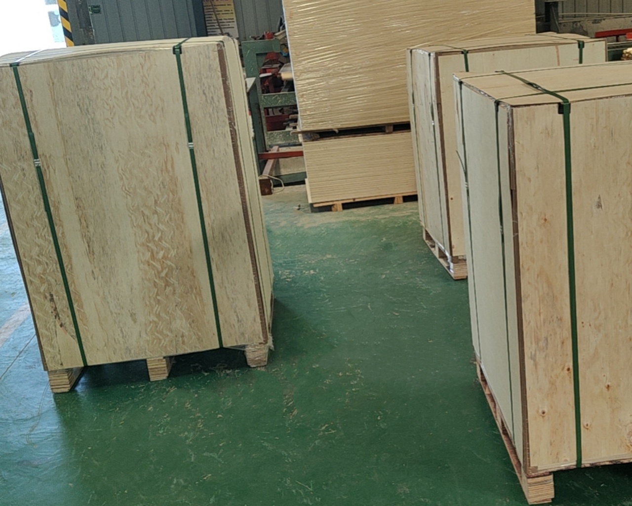 Basswood plywood  (1).jpg