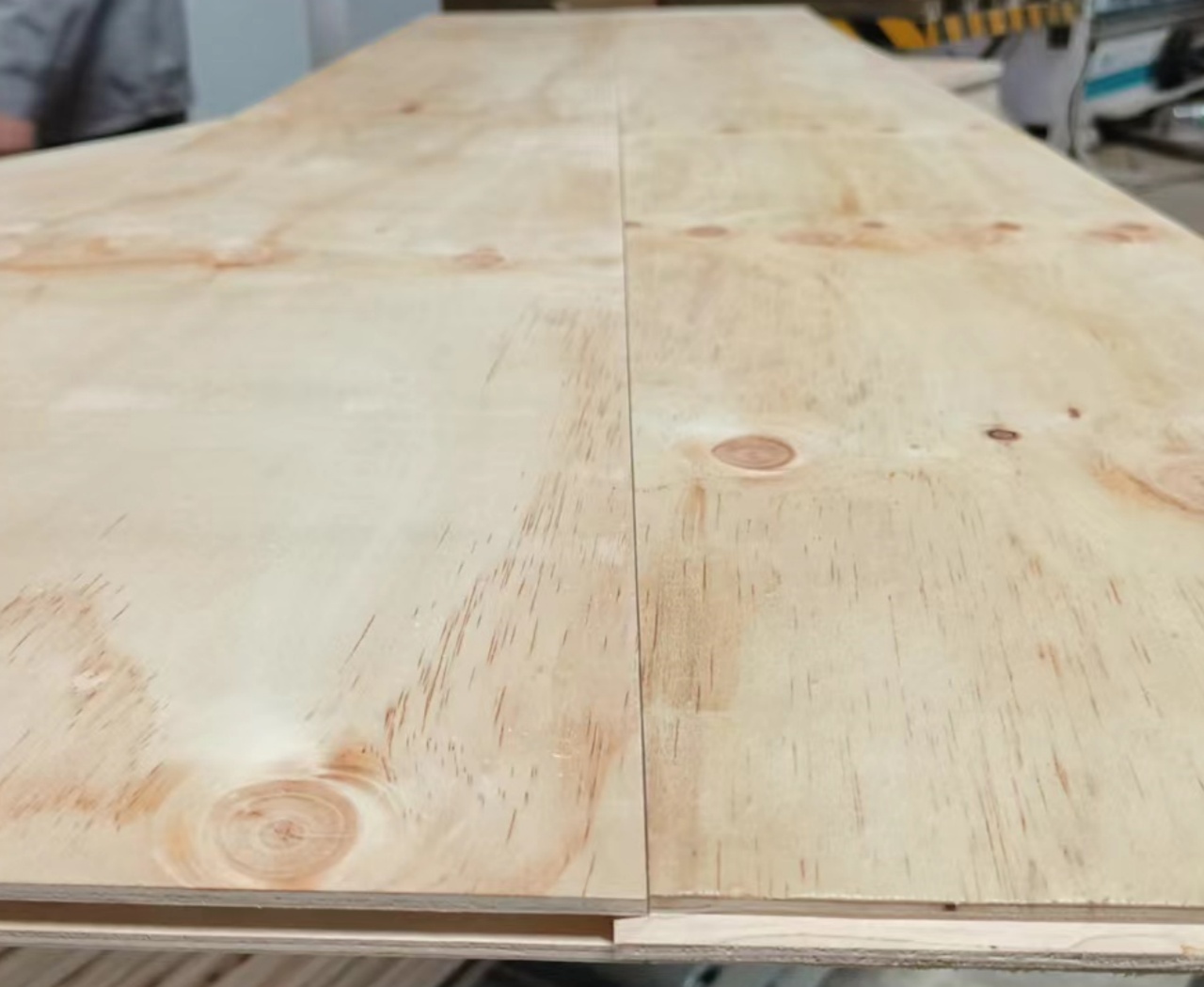 Pine plywood photo.jpg