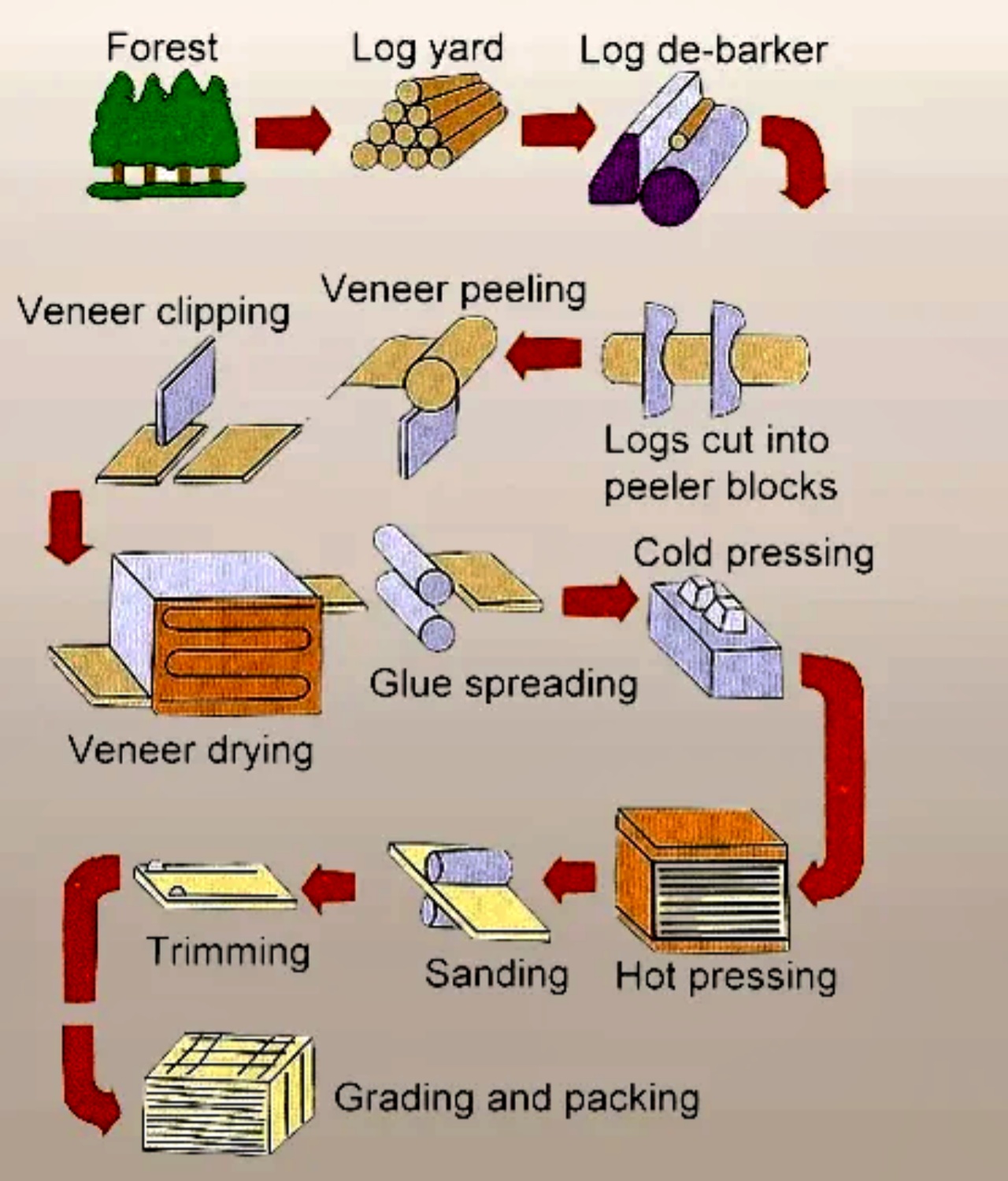 Plywood produciton_副本.jpg