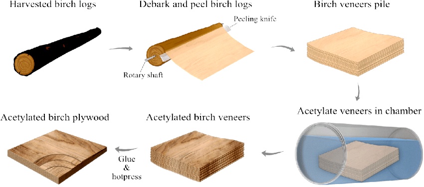 Manufacture process of acetylated birch plywood.jpg